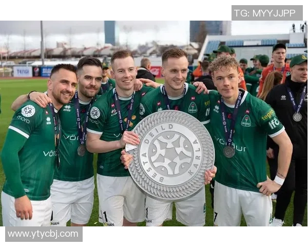 冰岛足球明星的传奇故事与成就揭秘